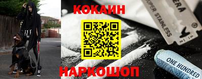 a pvp Камышлов