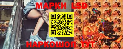 a pvp Камышлов