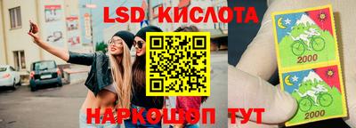 a pvp Камышлов