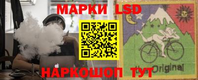 a pvp Камышлов