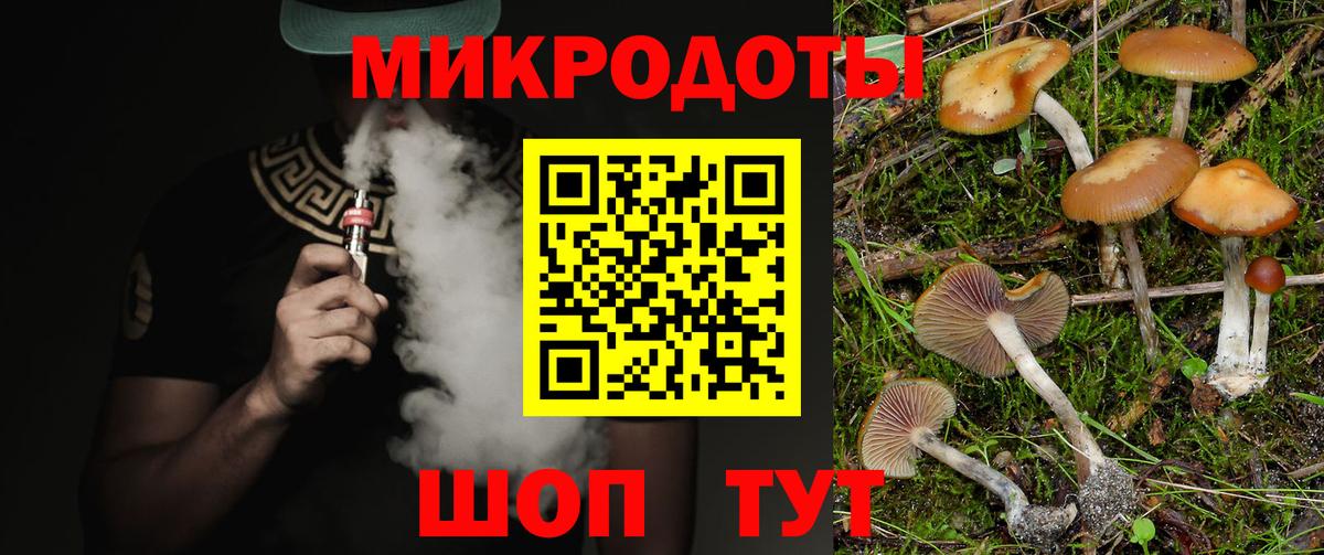 Галлюциногенные грибы прущие грибы  Псилоцибиновые грибы мицелий  Вход с VPN  Киселёвск 
